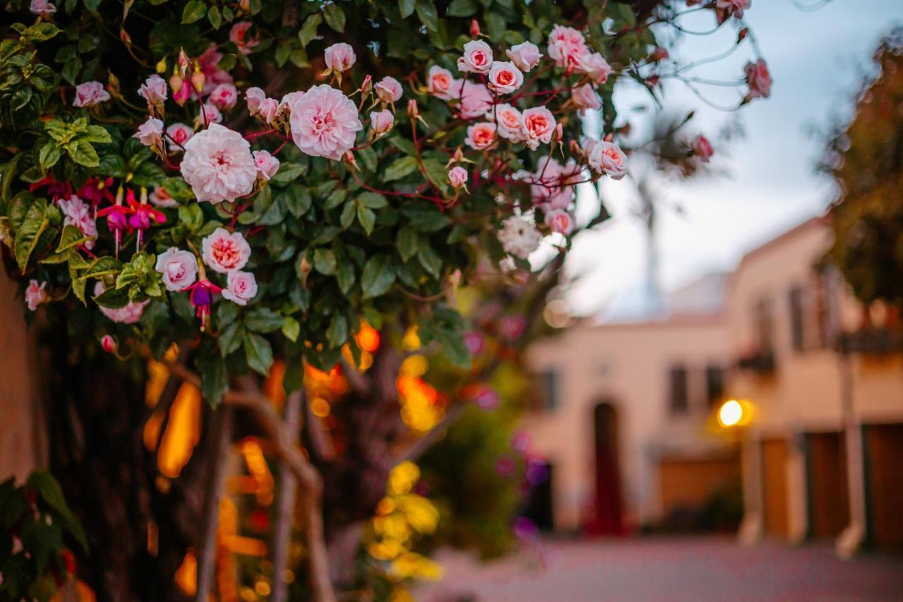 Marina Motel San Francisco Dış mekan fotoğraf